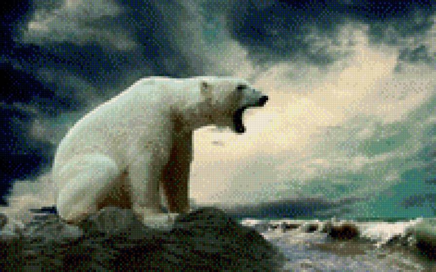 Белый медведь - предпросмотр