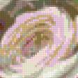 Предпросмотр схемы вышивки «розы» (№681350)