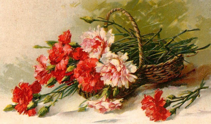 букет гвоздик - цветы, букет - оригинал