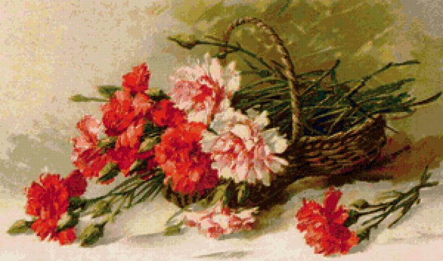 букет гвоздик - цветы, букет - предпросмотр