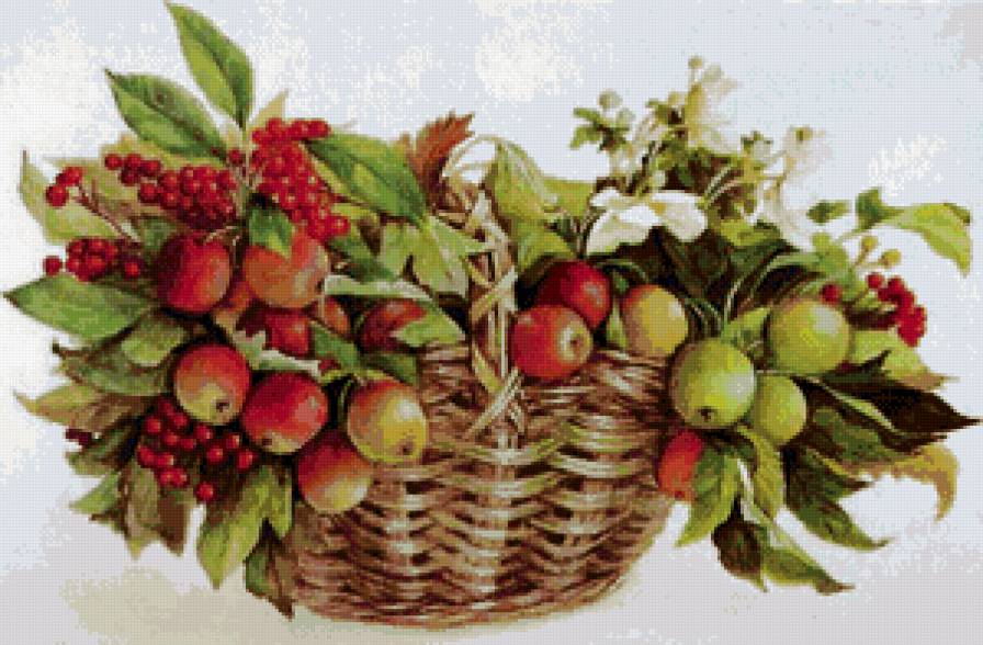 корзина яблок - фрукты, натюрморт, пано - предпросмотр