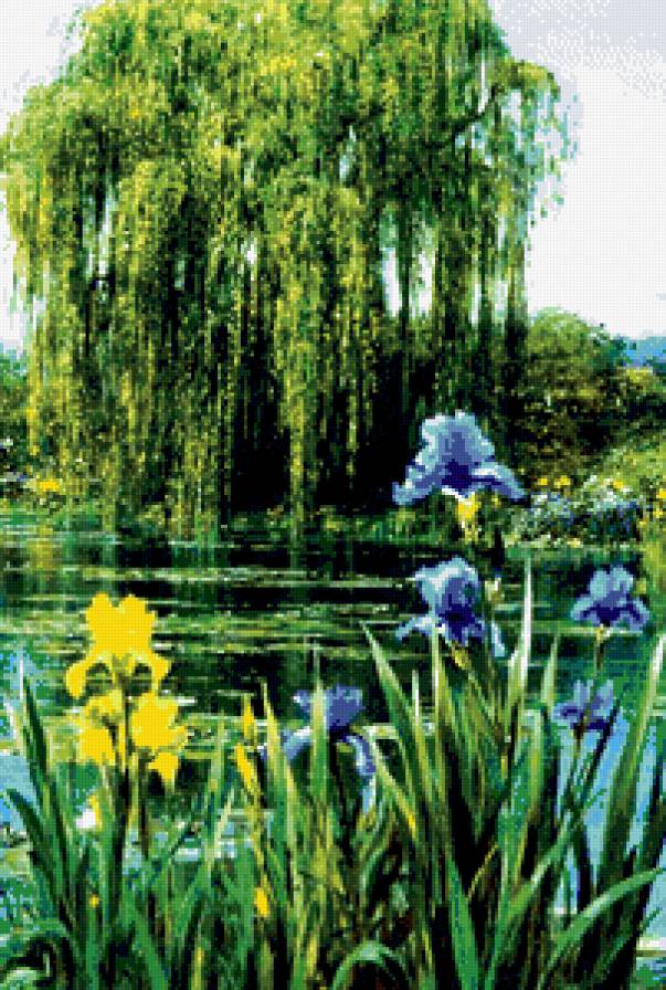 ирисы у воды - пейзаж - предпросмотр