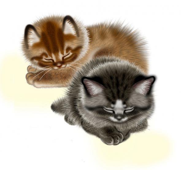 картина - животные, котята - оригинал