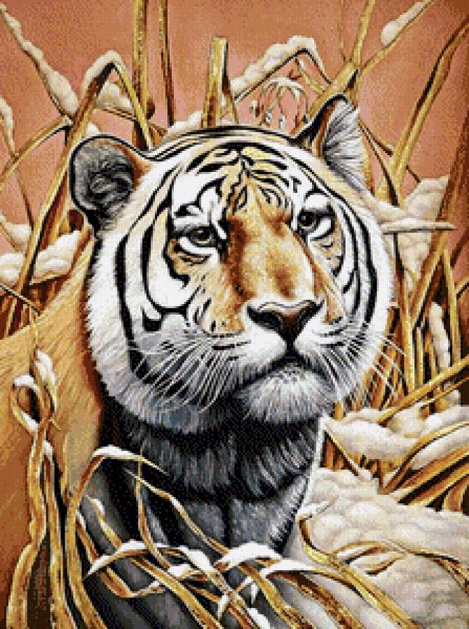 Грустный тигр - дикие кошки, животные - предпросмотр