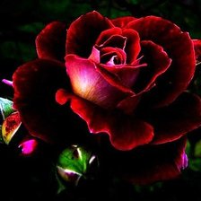 Схема вышивки «№681684»