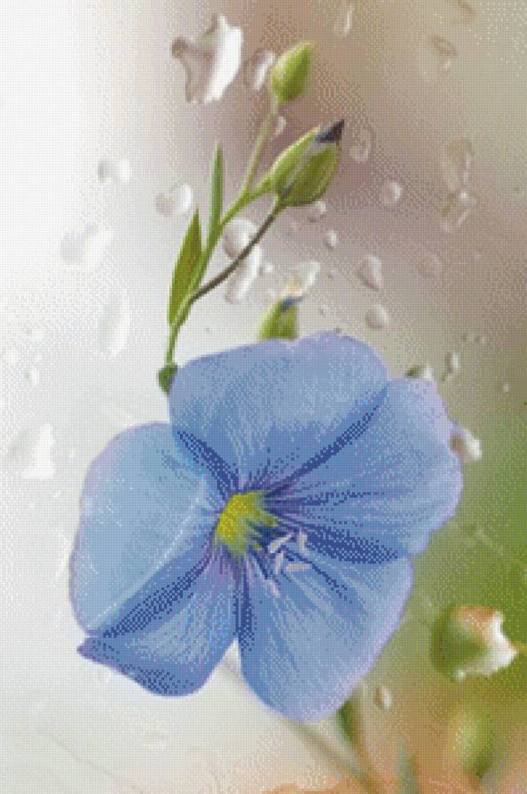 №681700 - цветок - предпросмотр