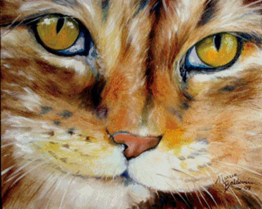 кот - кошка, кот, рисунок, котенок, животные - предпросмотр