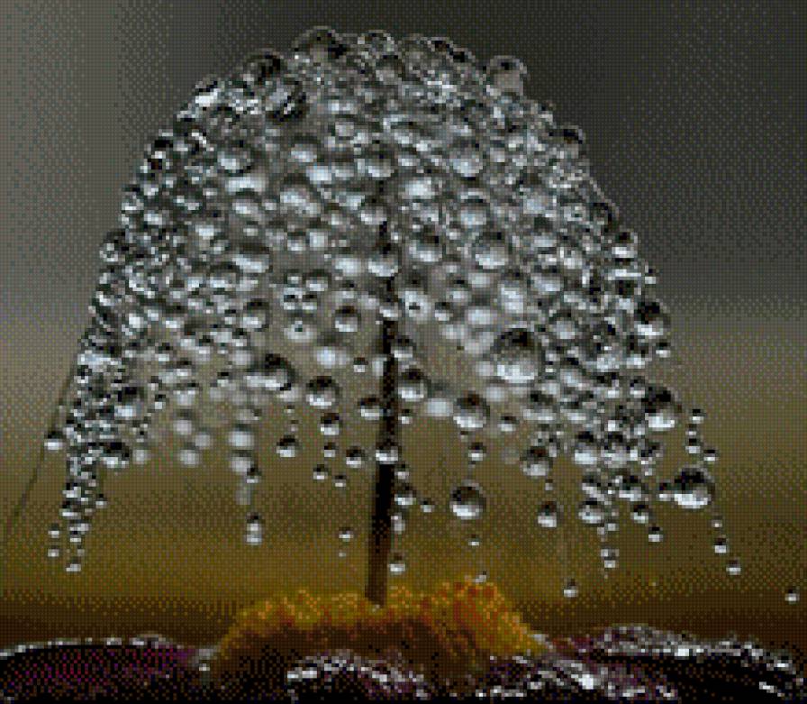 роса - предпросмотр