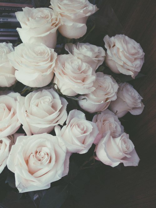 Розы - оригинал