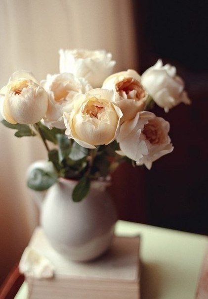 №681995 - оригинал