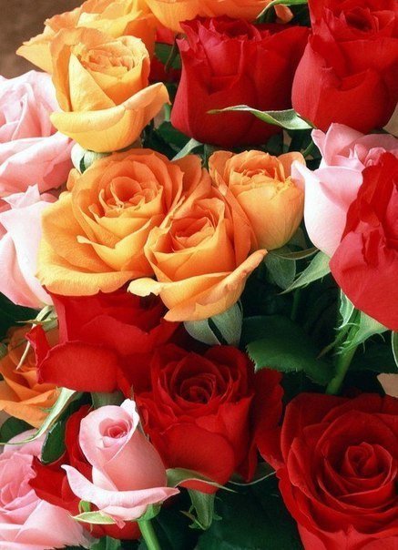 №681996 - оригинал