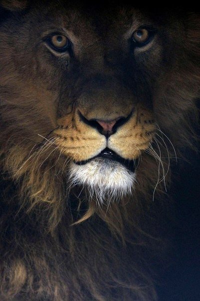 №682000 - оригинал