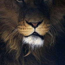 Схема вышивки «№682000»