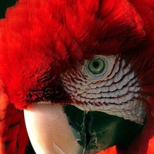 Схема вышивки «№682024»