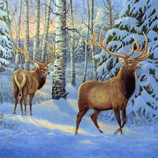 Схема вышивки «№682096»