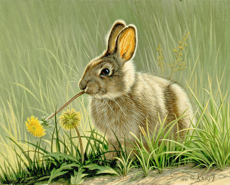 №682106 - оригинал