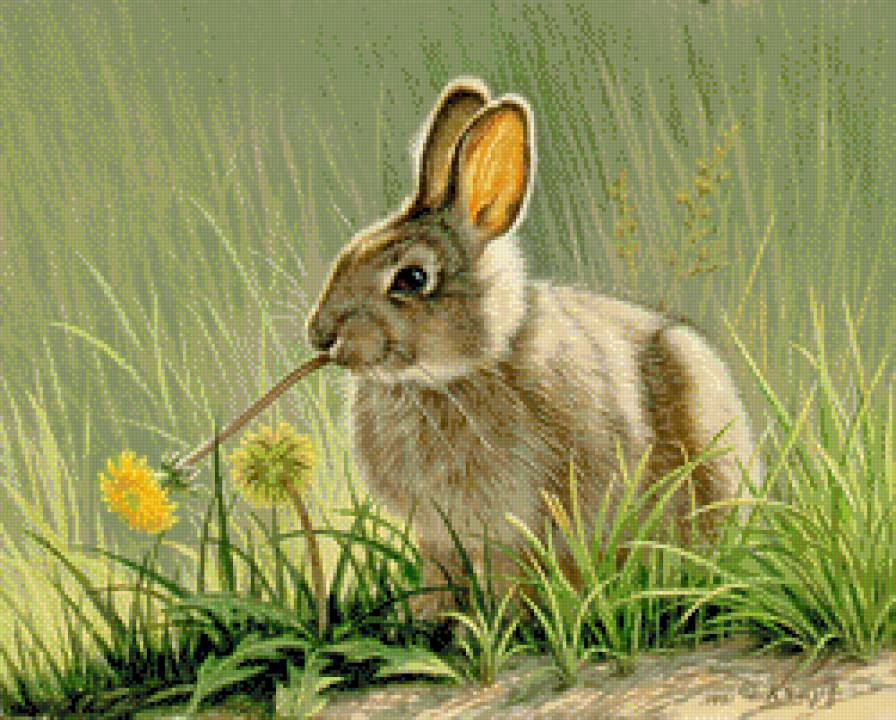 №682106 - предпросмотр