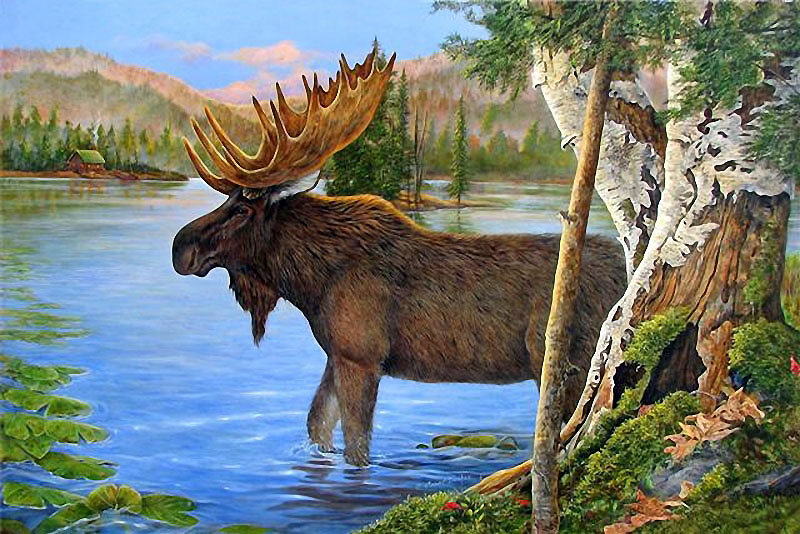 №682107 - оригинал