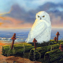 Схема вышивки «№682128»