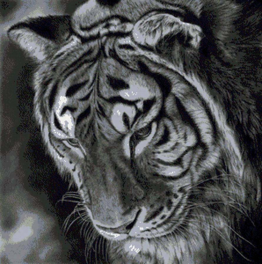 №682183 - животные.тигр - предпросмотр