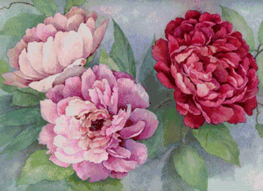 №682195 - цветы - предпросмотр