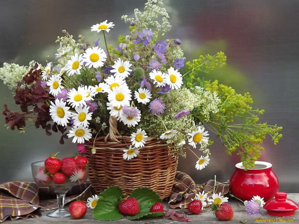 Букет - ромашки, цветы, малина, стол, ваза, лето - оригинал