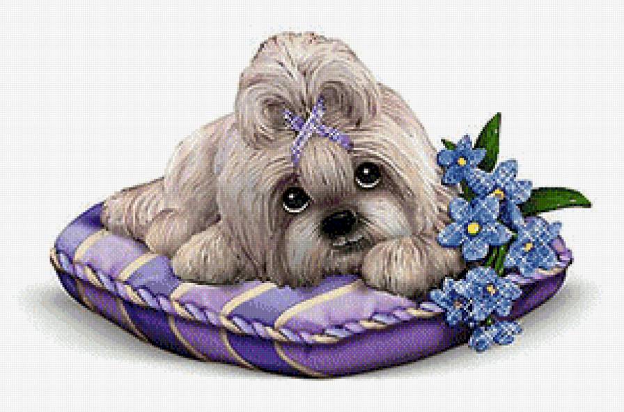 Собачка - щенок, пес, животные, собака - предпросмотр