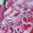 Предпросмотр схемы вышивки «цветы» (№682329)
