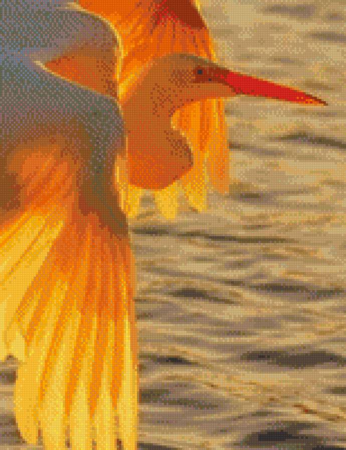 Птица - птица - предпросмотр