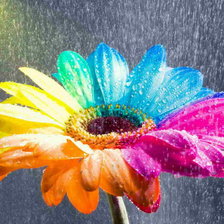 Схема вышивки «№682484»