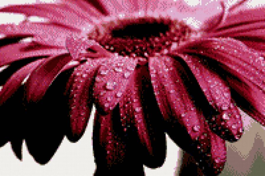 гербер - предпросмотр