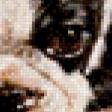 Предпросмотр схемы вышивки «песик. хаед» (№682595)