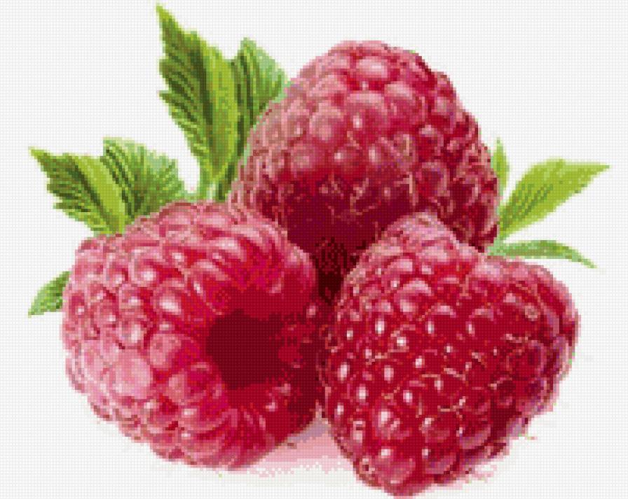 малина - ягоды - предпросмотр