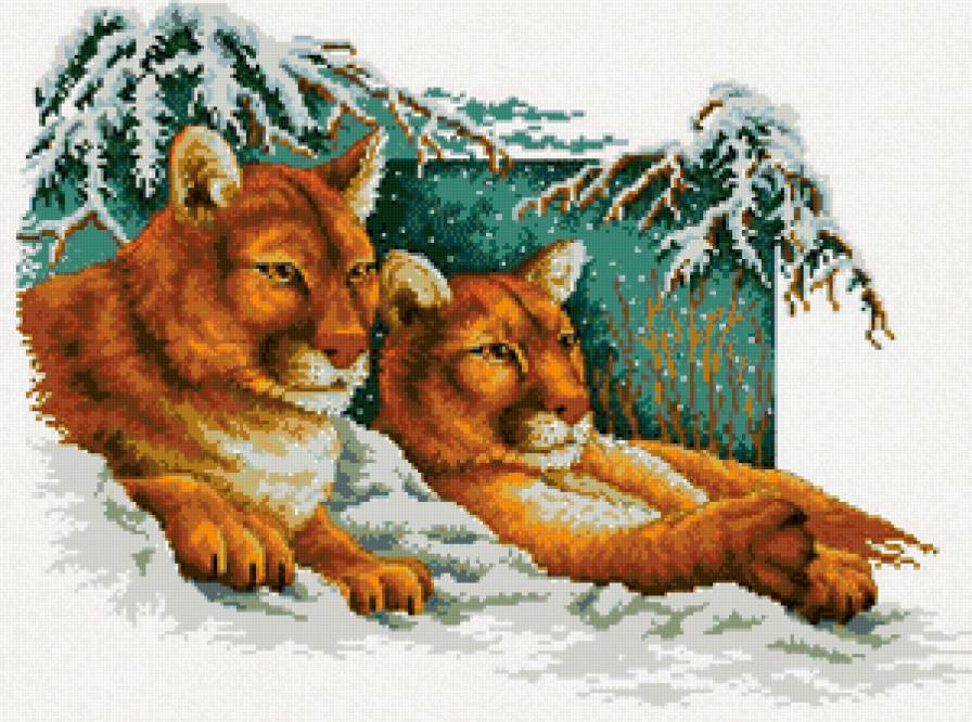 пара хищников - животные, хищники, снег, кошки - предпросмотр