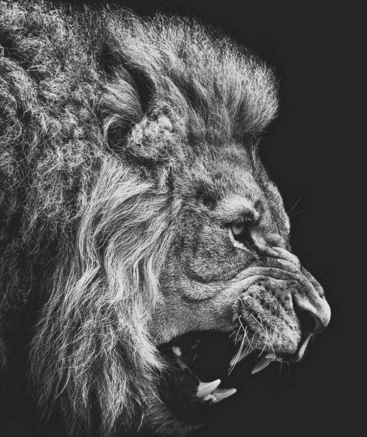 лева - оригинал