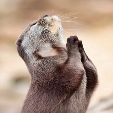 Схема вышивки «Боже, дай мне силы, терпения, и, на всякий случай, 42 миллиона д»