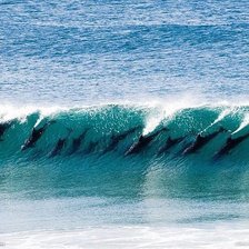 Схема вышивки «Стая дельфинов на гребне волны»