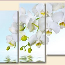 Схема вышивки «цветы»