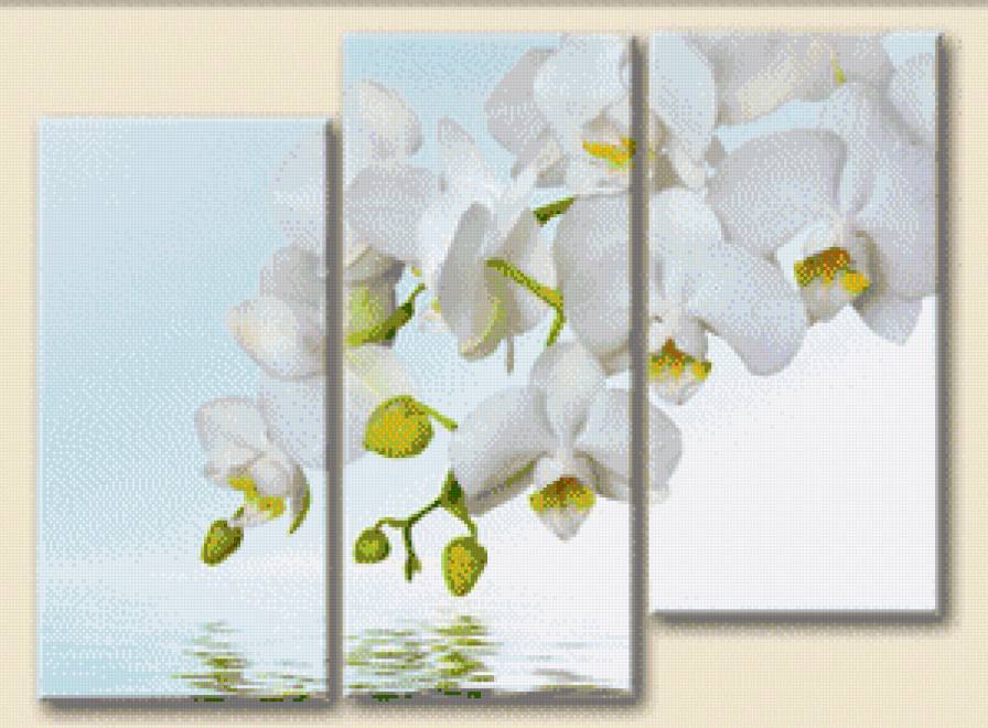 Триптих Орхидея - триптих - предпросмотр