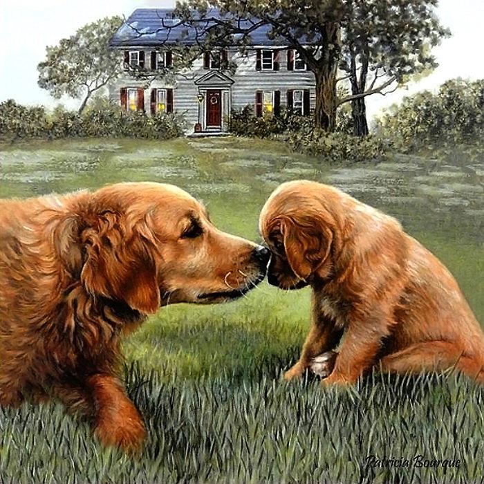 Собаки - собака, щенок - оригинал