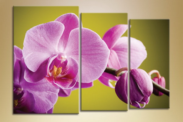 №682892 - оригинал