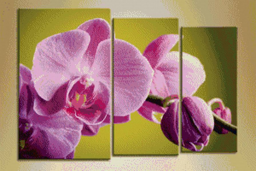 №682892 - предпросмотр