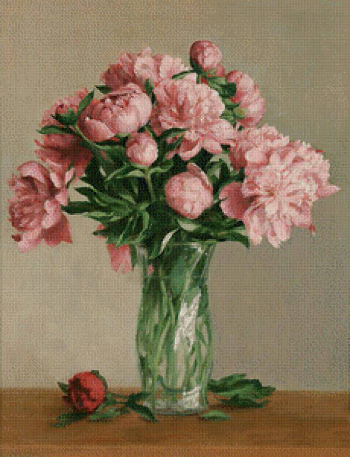 пионы - пионы, цветы - предпросмотр