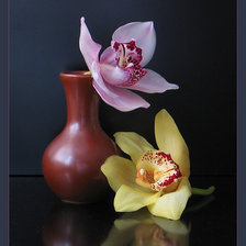 Оригинал схемы вышивки «орхидеи» (№683174)