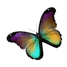 Оригинал схемы вышивки «бабочка» (№683382)