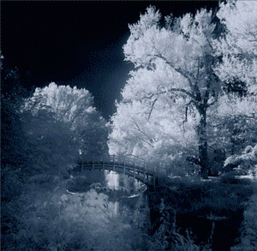 Зима - природа, деревья, зима, лес, красота - предпросмотр