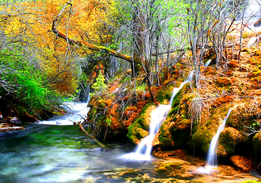 Водопад в лесу - вода, деревья, природа, лес, водопад - оригинал