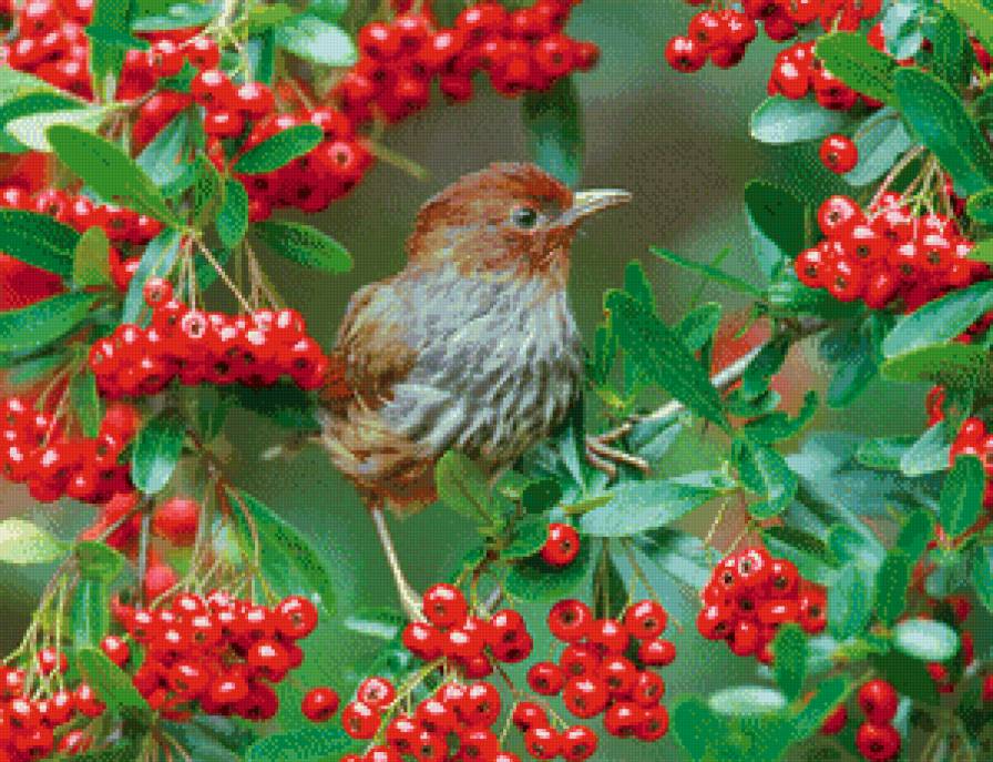 №683546 - птицы, животные - предпросмотр