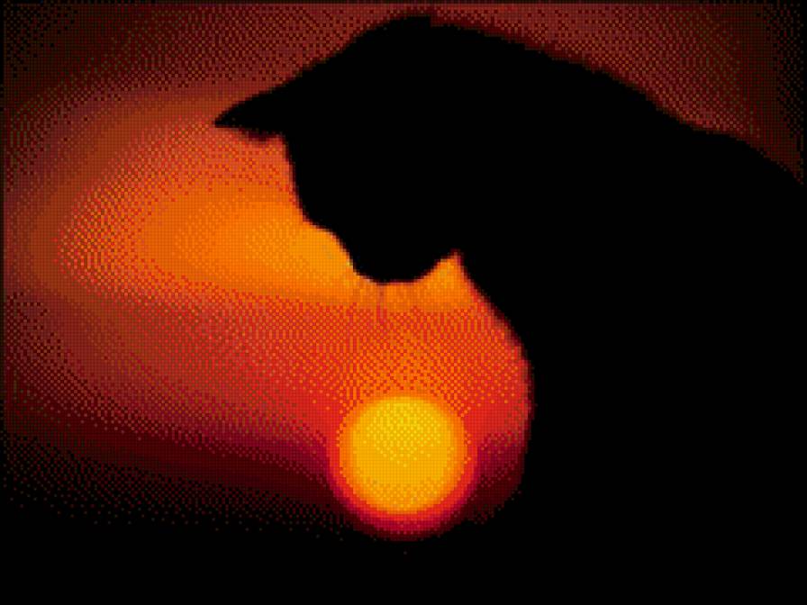 закат и кошка - предпросмотр