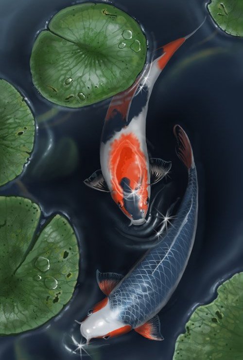 карпы - оригинал